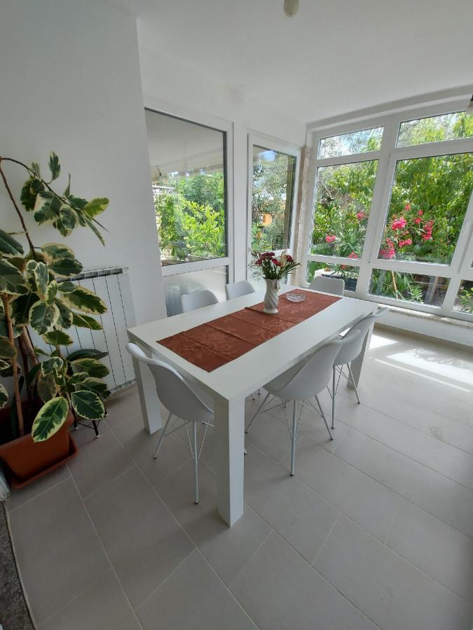 Apartment Lemut ポルトローシュ エクステリア 写真